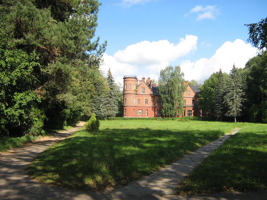 Vasilyevskoye (Васильевский замок)